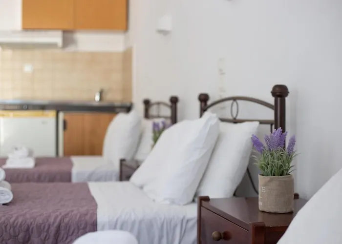 Apartment Aegeo Studios Batsi (Andros)